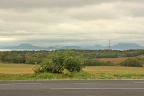 IMG 1052
