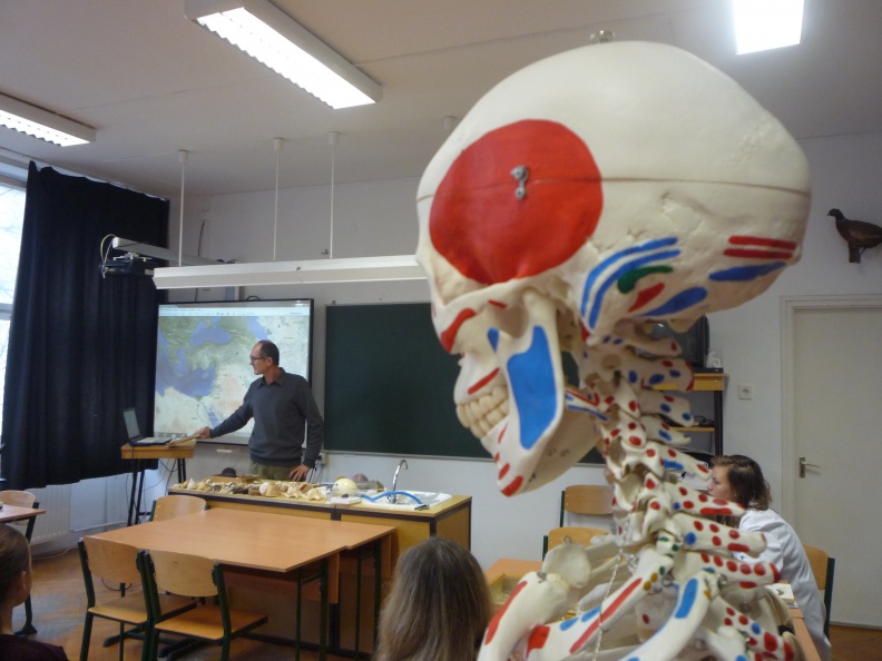 377 - 377.JPG 377.JPG