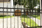 IMG 0079