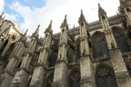 IMG 6193