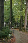 IMG 9603 v1