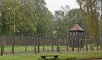 IMG 9693 v1