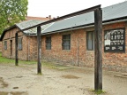 IMG 9761 v1