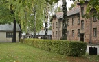 IMG 9762 v1