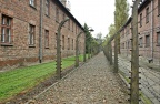 IMG 9772 v1