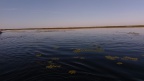 IMG 20240727 083317