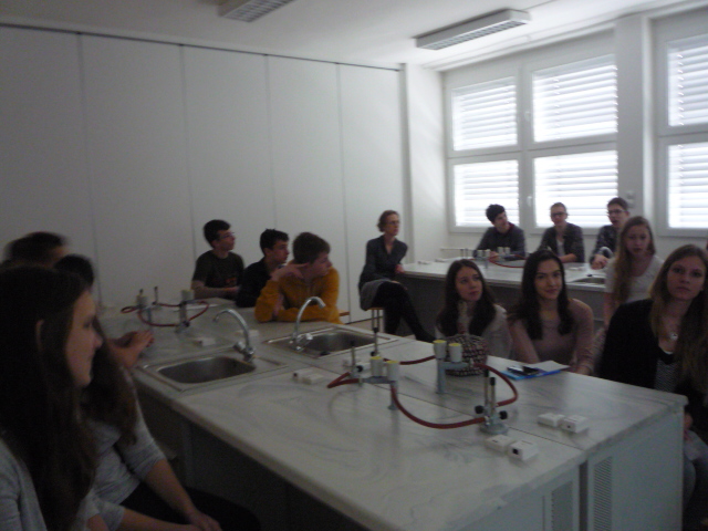 080 - 080.JPG 080.JPG
